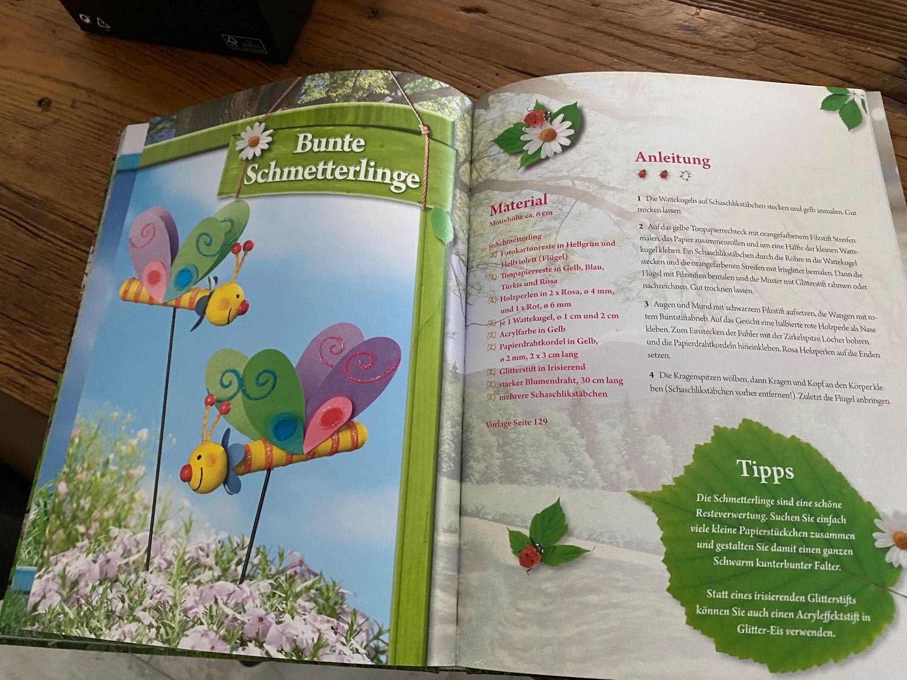 Libri: Bastelbuch / Frühling – Nuovo (secondo la descrizione) da Villmergen venduto da 12roadrunner06 1
