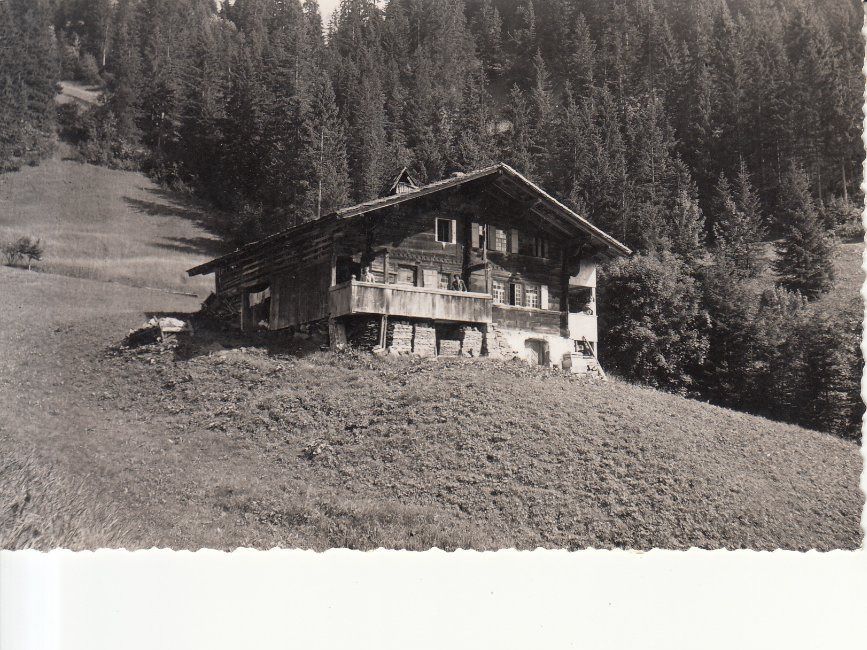 Cartoline postali: Adelboden Hari 1953 – Usato da Bürglen TG venduto da StampGraf