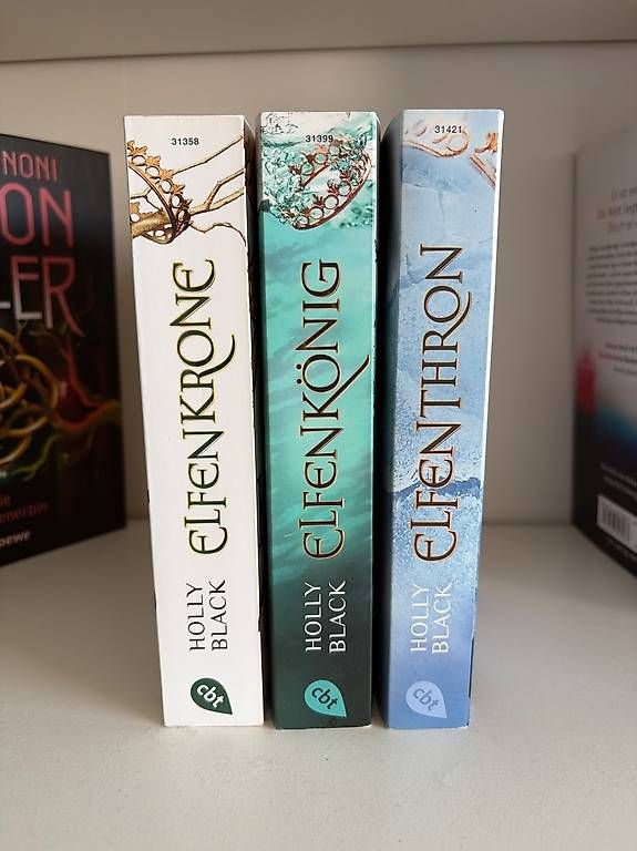 Libri: Fantasy Book – Usato da Birsfelden venduto da beg_pyx6 1