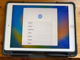Apple iPad Pro (9,7 Zoll) – 128 GB – Silber – Top Zustand