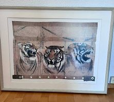 Drei Tiger von Rolf Knie
