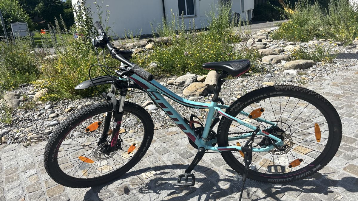 Scott Velos: Mountain Bike SCOTT – Gebraucht aus Meggen von Rosegold84