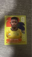 RSA 14 , FIFA WORLD CUP 2026 PANINI 