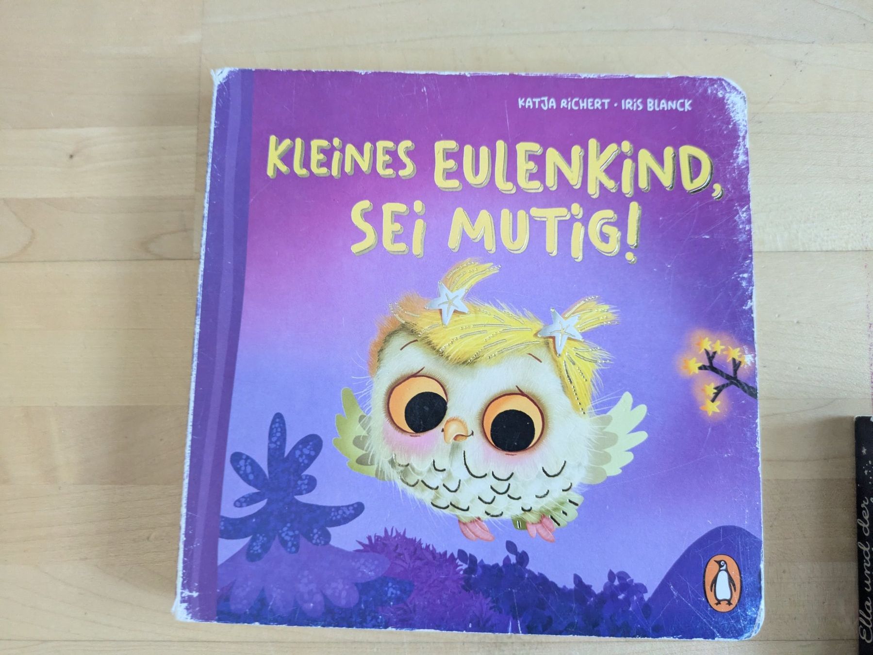 Libri: Bilderbuch: Kleines Eulenkind sei mutig – Usato da Bern venduto da macsandra