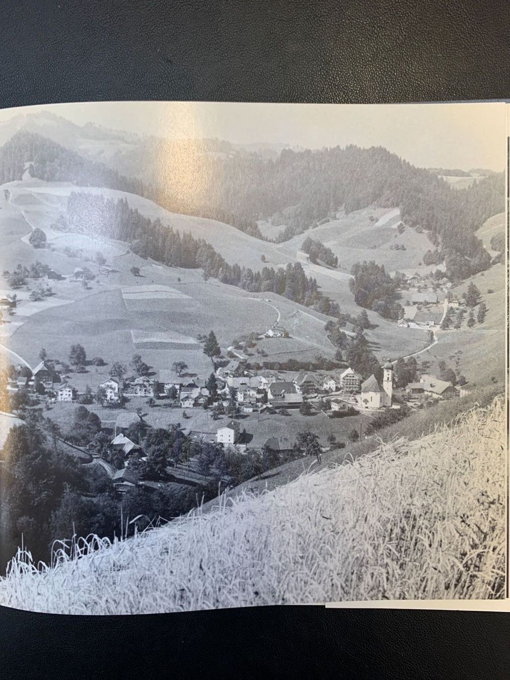 Libri: Napflandschaft – Usato da Frümsen venduto da Katzen0 2