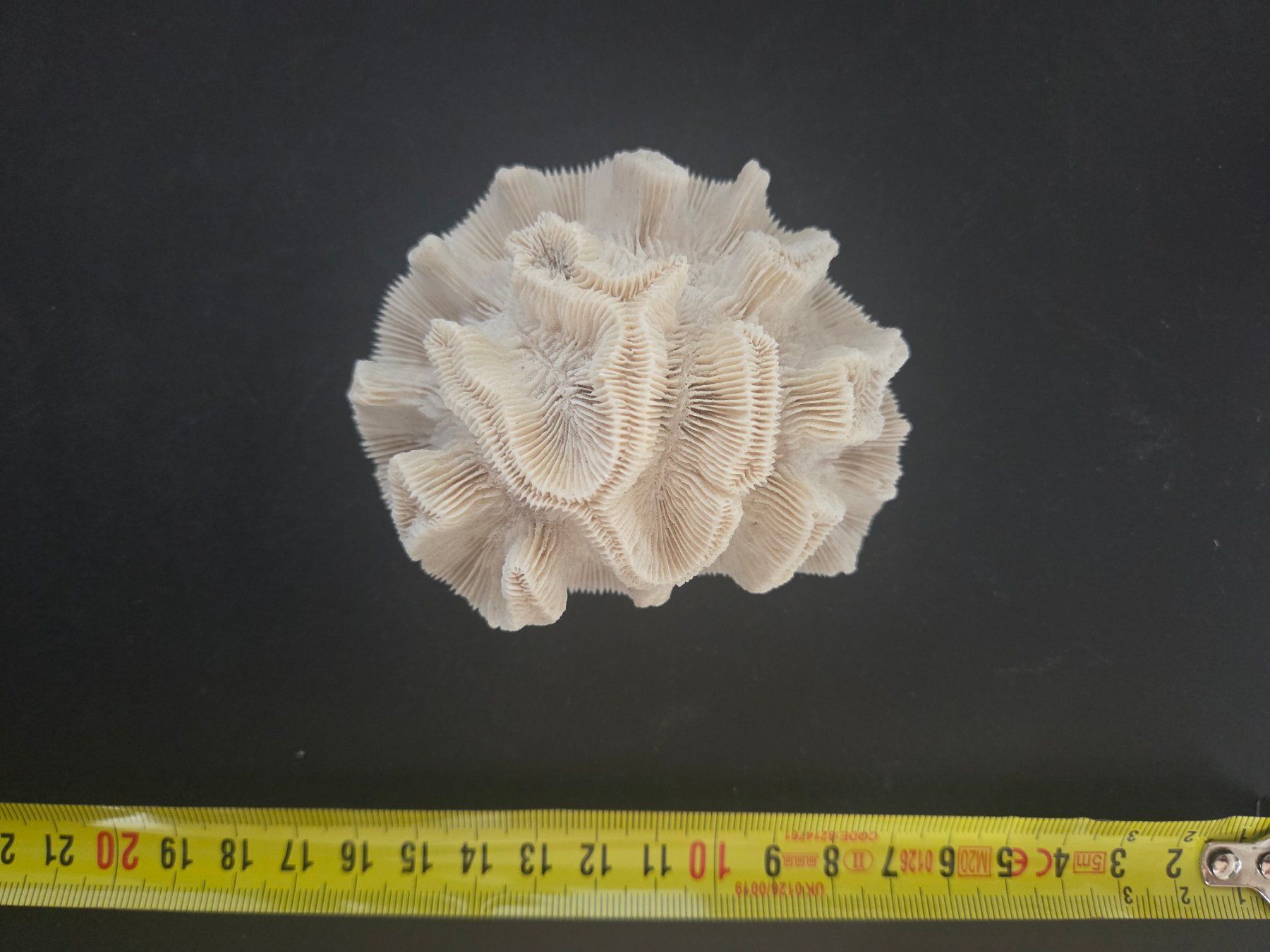 Fossilien: Corail naturel – Gebraucht aus Territet von Cenh 2