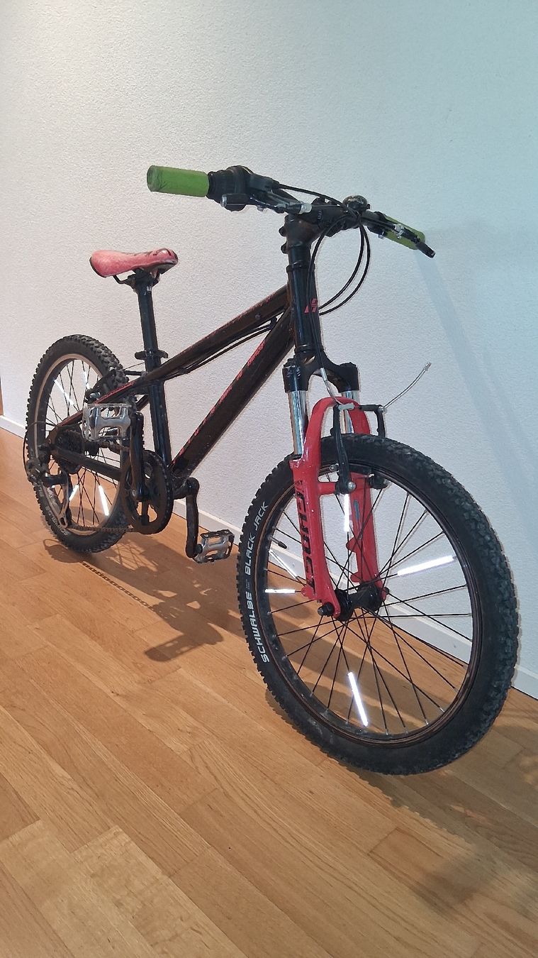 Ghost Biciclette: Ghost Kinderfahrrad 20"  – Usato da Rapperswil SG venduto da bofrit 1