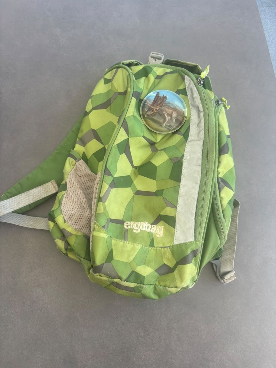 Ergobag Borse & Zaini: Rucksack – Usato da Riedholz venduto da R8-82 3