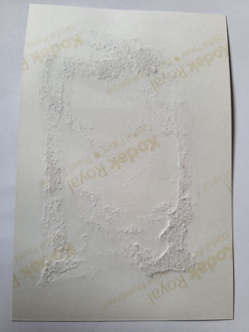 Foto & Immagini: Foto Akt Frau  – Usato da nunningen venduto da mic_88k2 1