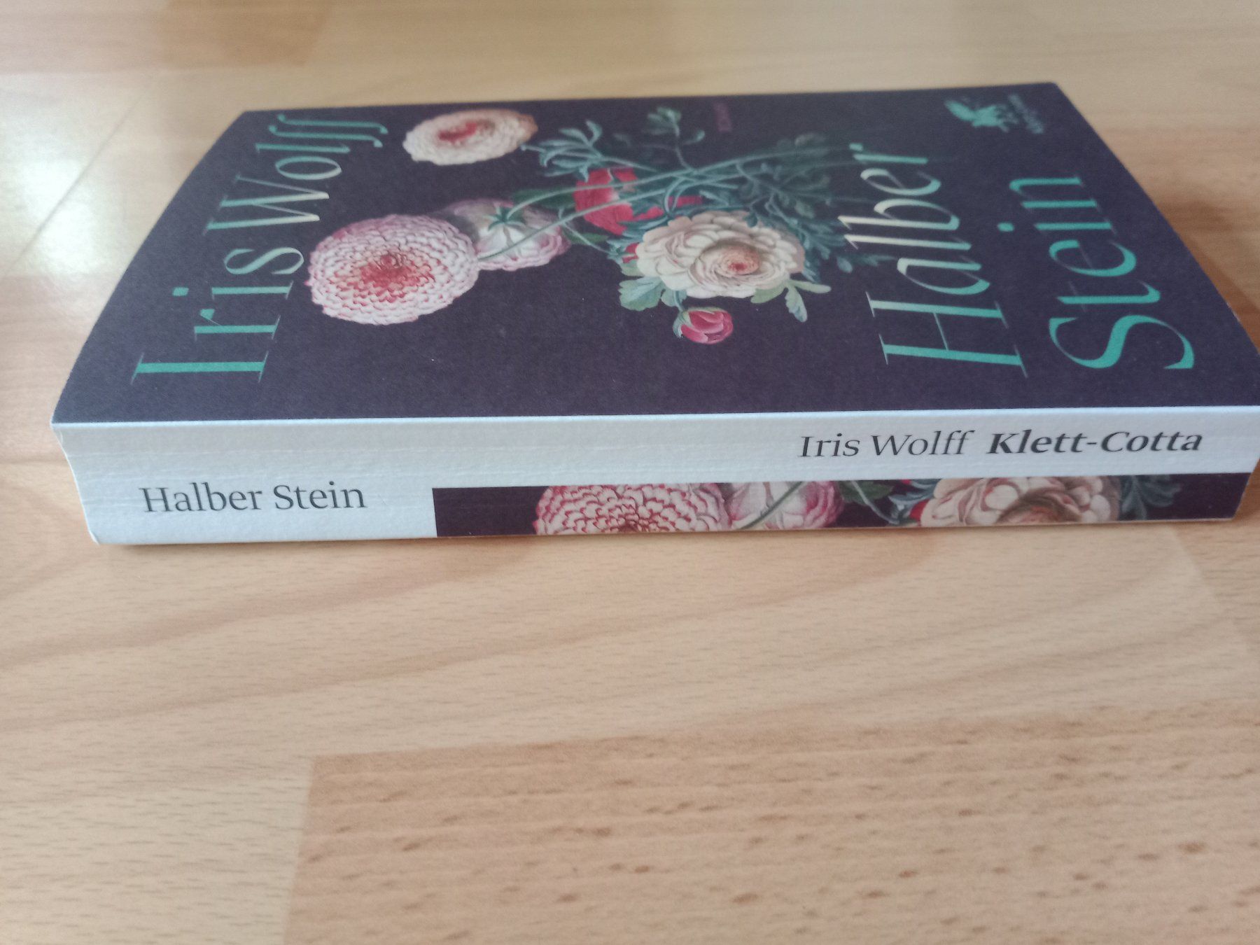 Bücher: Iris Wolff Halber Stein Roman 14.02.2026 – Gebraucht aus Wangen b. Olten von EmilythestrangeX 3