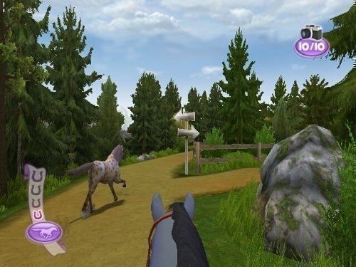 Nintendo Giochi: Ponie Freunds Shetland Ponys DS – Usato da Schüpfheim venduto da Games_Spielkonsolen 2