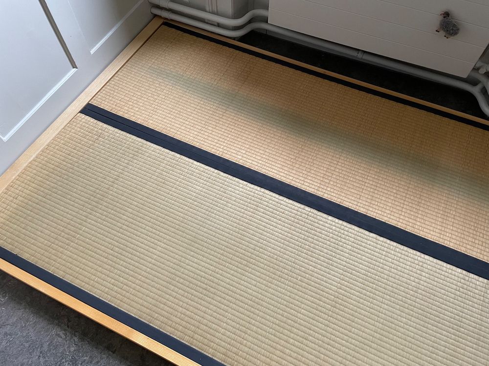 Tatami Kaufen auf Ricardo