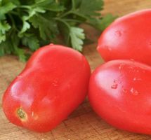 Buschtomate, Balkon, Feld- TOMATE 'Szejk' / 5 Samen / ROBUST