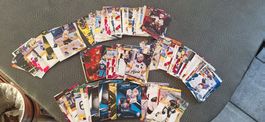 131 Eishockey Sammelkarten, diverse Spieler Karten