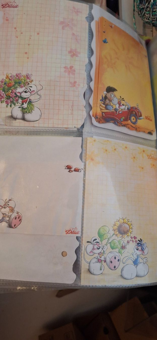 Raccoglitori: Diddl Ordner, Top Zustand! – Usato da Bülach venduto da cor_nfm8 1
