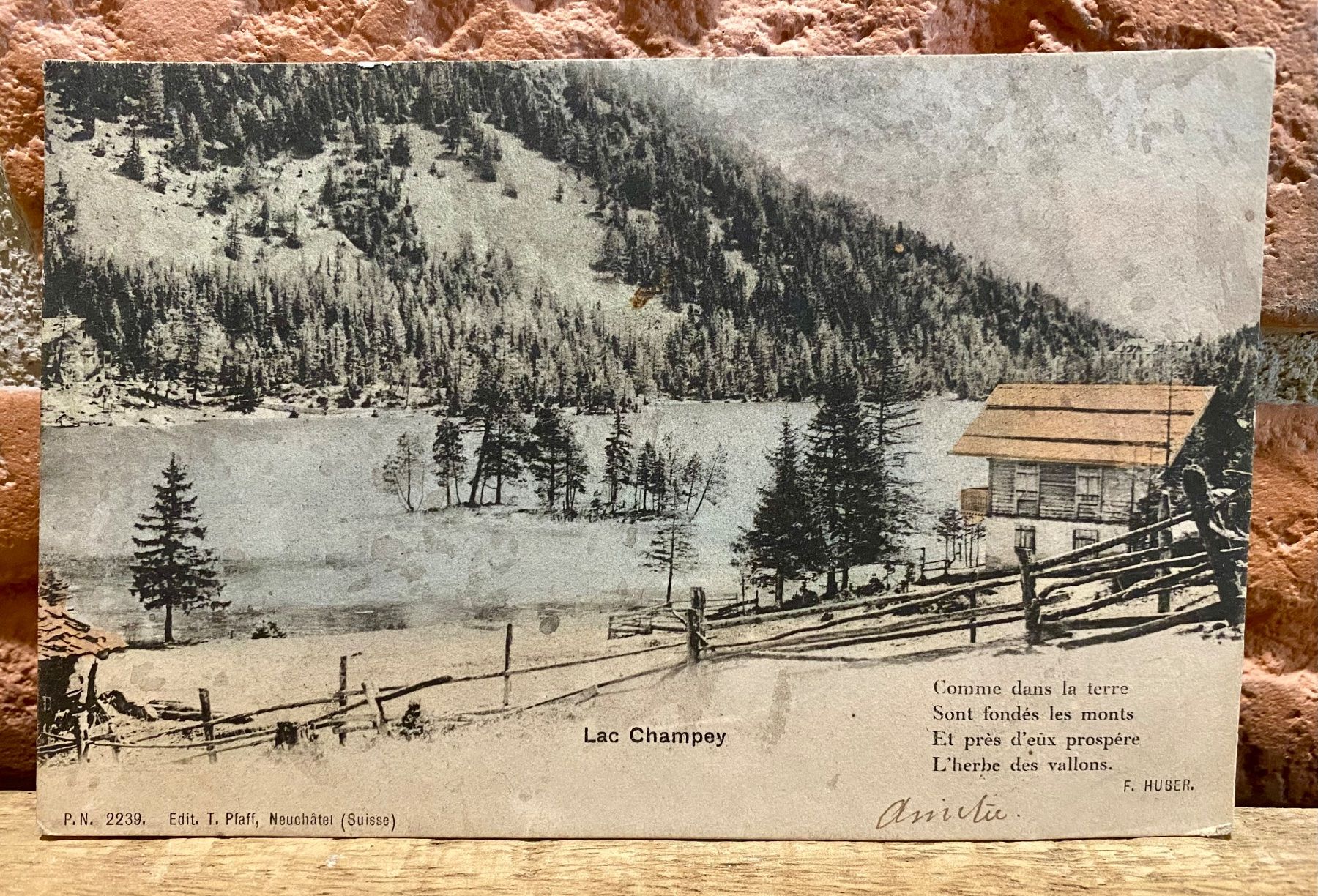 Cartoline postali: Lac Champey - Champex - Natur - Bergsee – Usato da Root venduto da ENGLAND-TREASURES