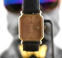 Zodiac Astroquartz