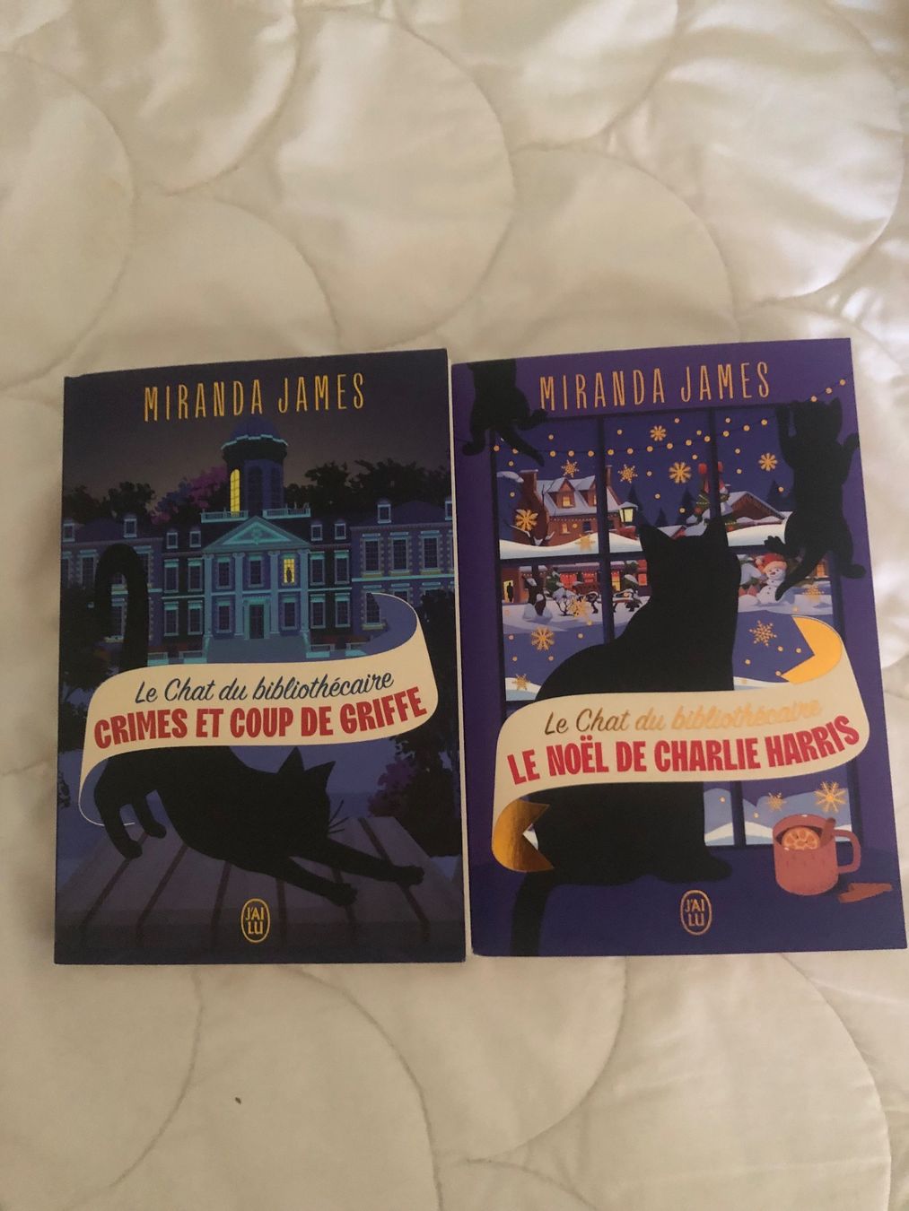 Livres: Le chat du bibliothécaire – D'occasion à Domdidier par fra_klm9 2