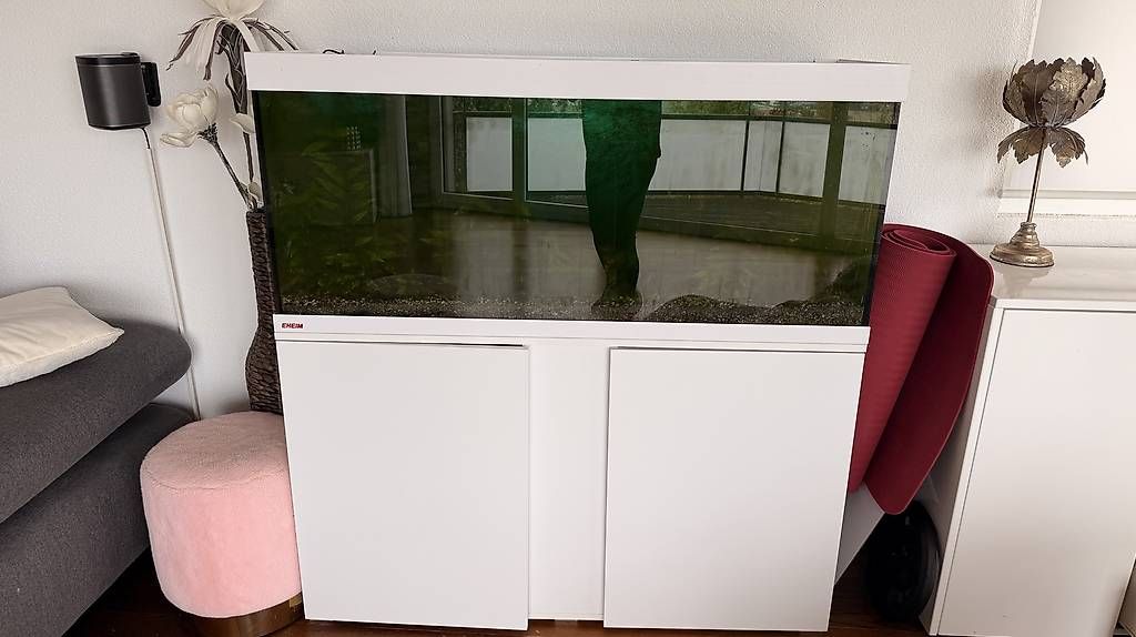 Acquari: Aquarium 240 Liter – Usato da Belp venduto da eva_tc8s 3