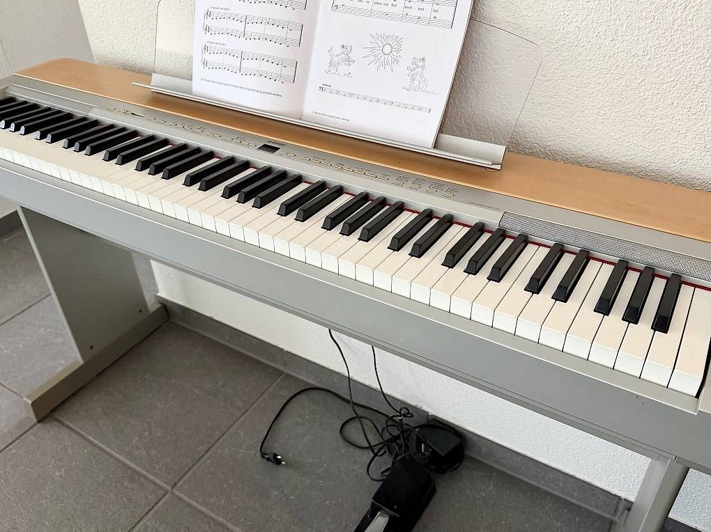 Strumenti musicali: Yamaha P-140S Digitalpiano – Usato da Muri AG venduto da cag733 2