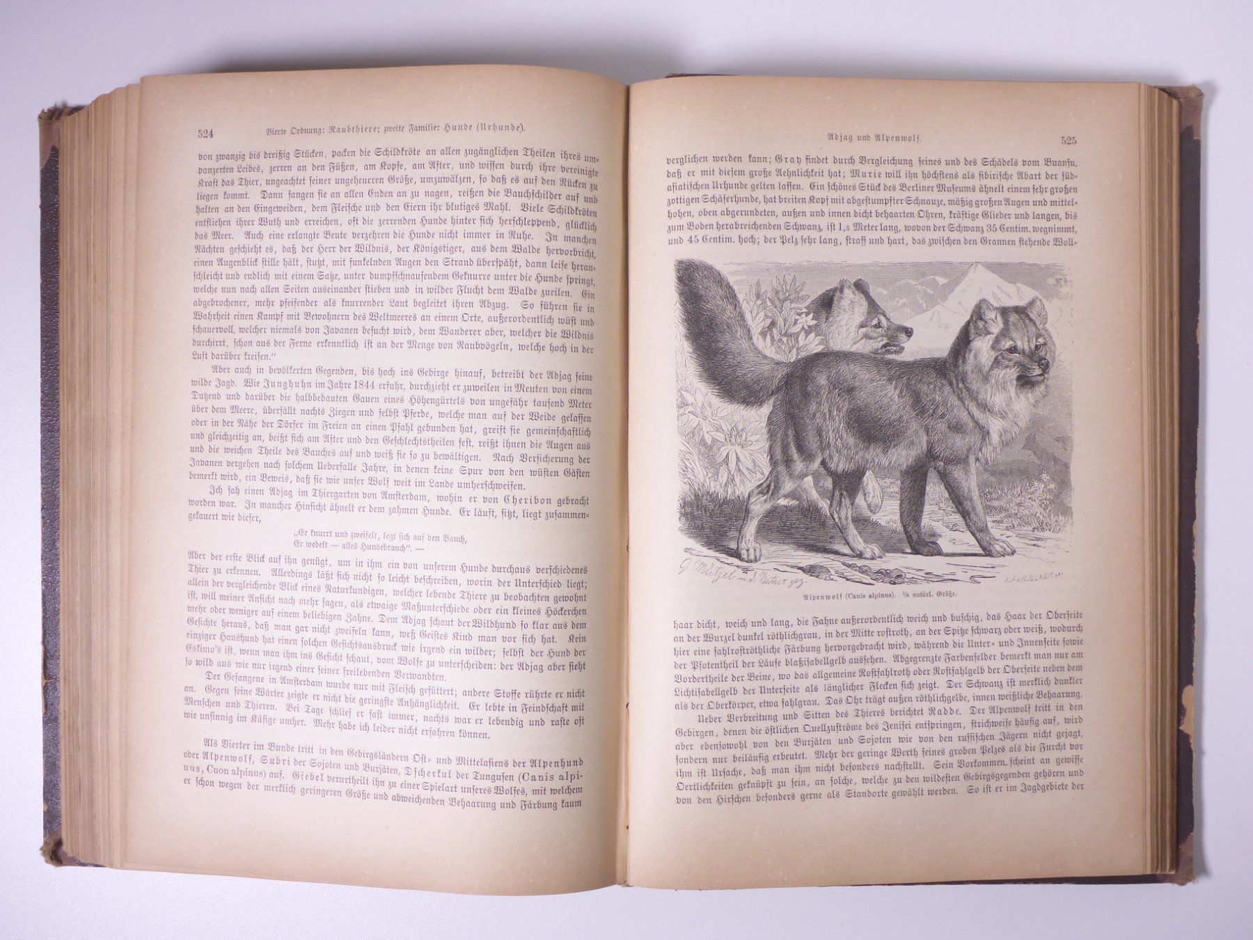 Libri: Brehms Thierleben (Tierleben) 3 Bände. – Usato da Erschwil venduto da taglang 4
