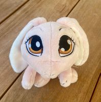 NICI Hase