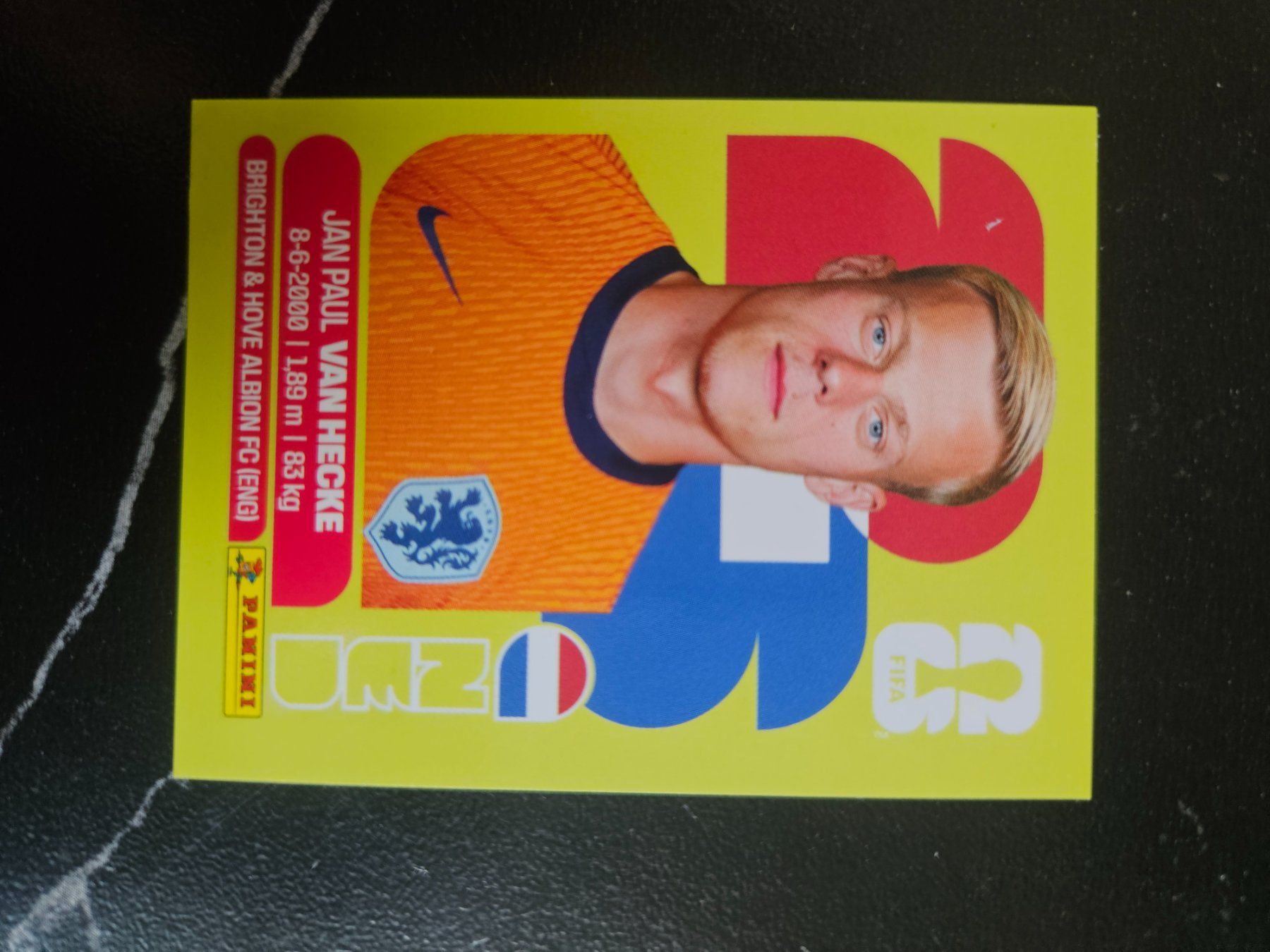 Panini Cartes à collectionner: NED 9 – D'occasion à Würenlingen par Dinli