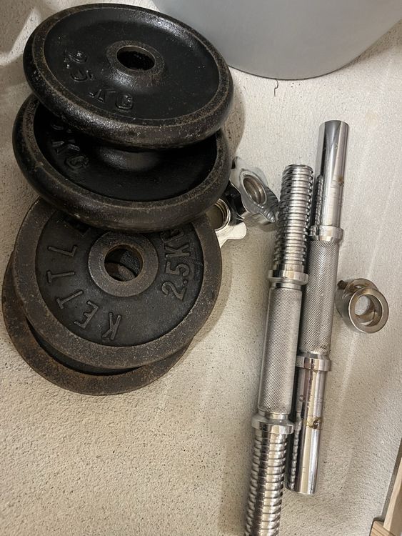 Weight Plates & Dumbbell Handles Set (Gebraucht) in Zürich für CHF 23 ...