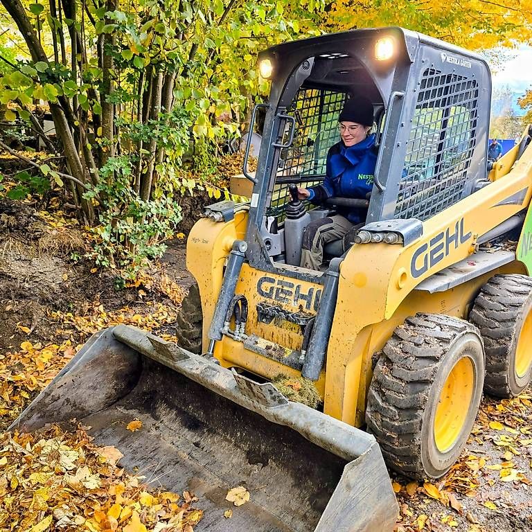 Gehl Alle Maschinen: GEHL Kompaktlader GEHL R190 – Gebraucht aus Münsingen von maximum89 1