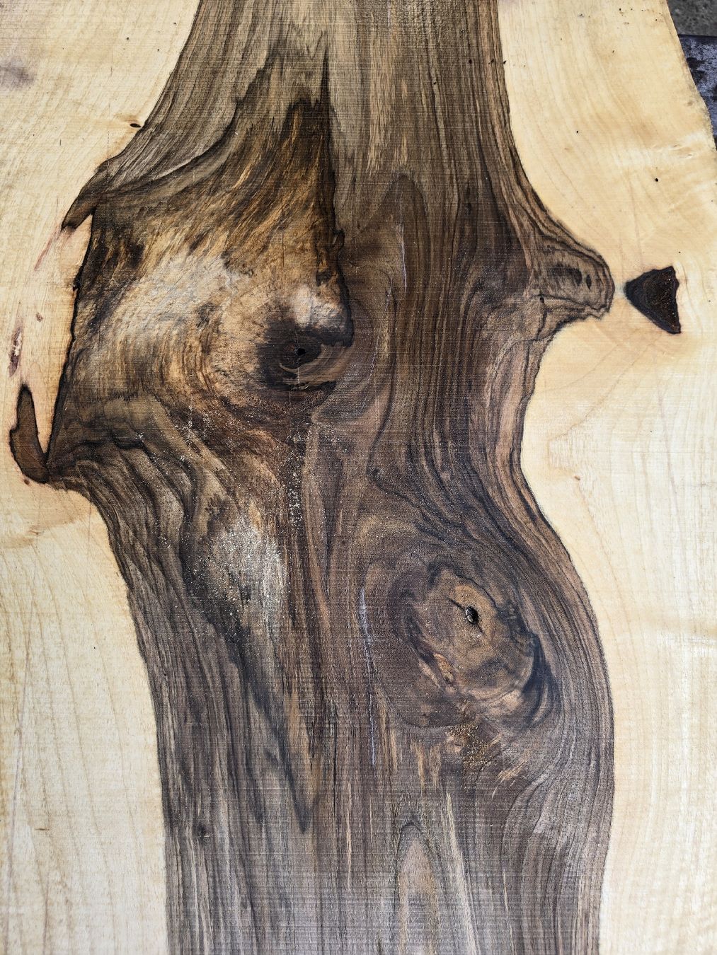 Articoli in legno: Nussbaumstamm frisch – Nuovo (secondo la descrizione) da Ramsei venduto da Waelchris 1
