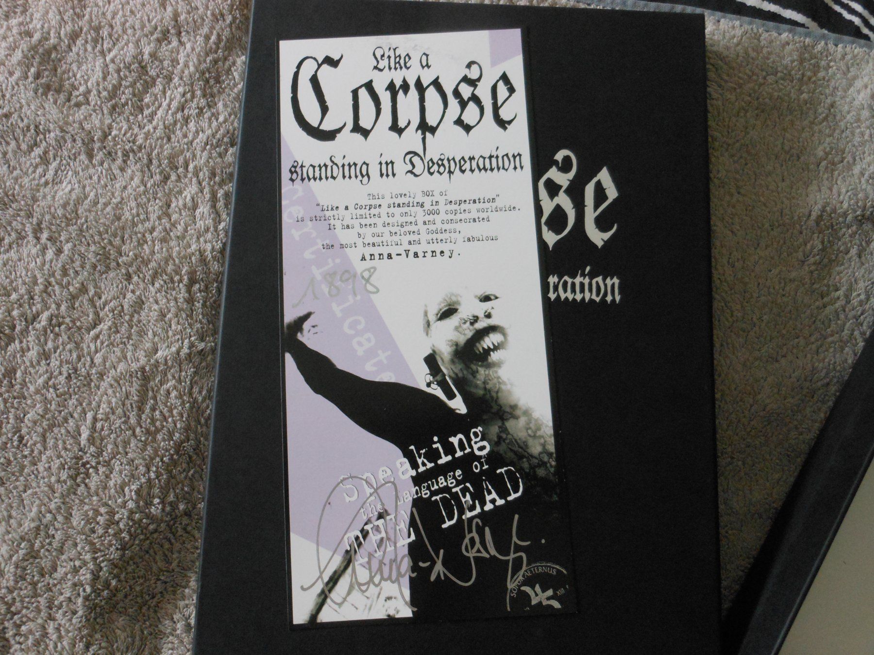 CD: Sopor Aeternus Like A Corpse Standing In Desperation Box – Usato da Liebefeld venduto da type013 2