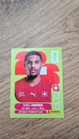 Panini WM 2026 Switzerland Aurele Amenda