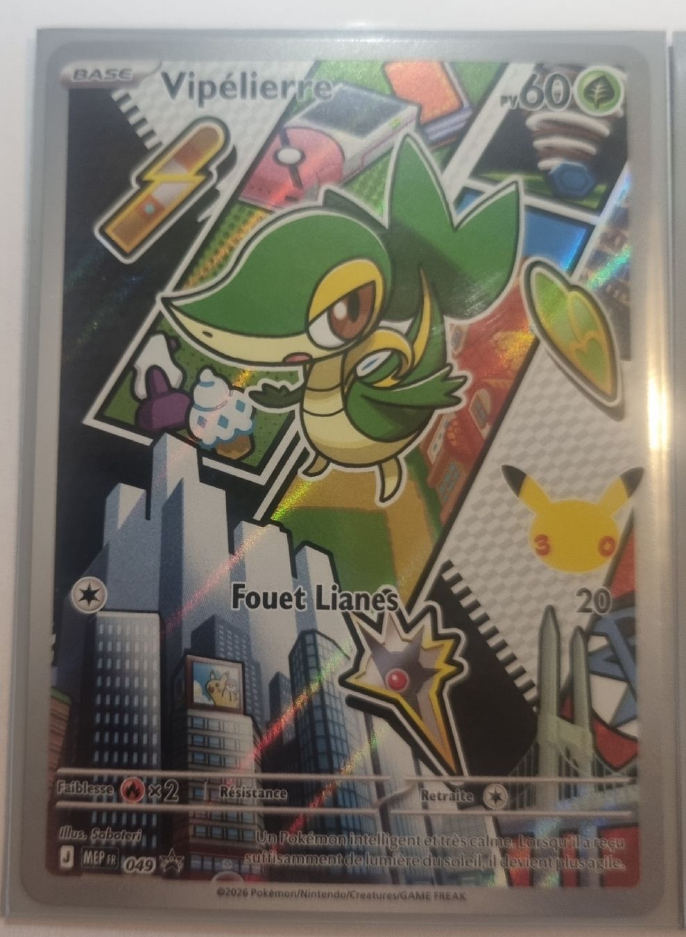 Pokémon Carte collezionabili: Pokemon frst partner serie 2 Vipelierre, Gruikui, Moustillon – Nuovo (secondo la descrizione) da Les Cullayes venduto da yan_nvn9 4