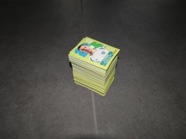 Panini WM 2026 - Starterset - keine Doppelten - 350 Bilder