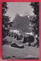 GRINDELWALD, WETTERHORN VOM HERTENBÜHL, FELDPOST