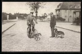 Blindenführhund mach seinen Herrn aufme