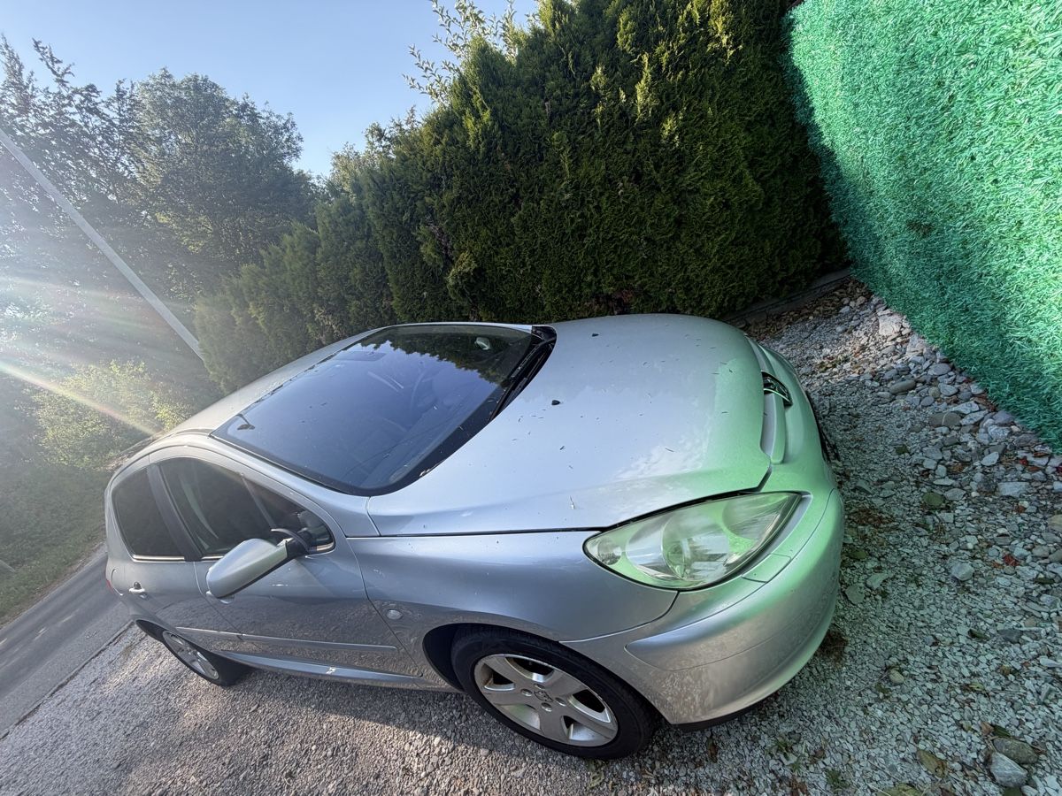 Peugeot Automobili: Peugeot 307 2.0i – Usato da Pringy venduto da bigrexy 9