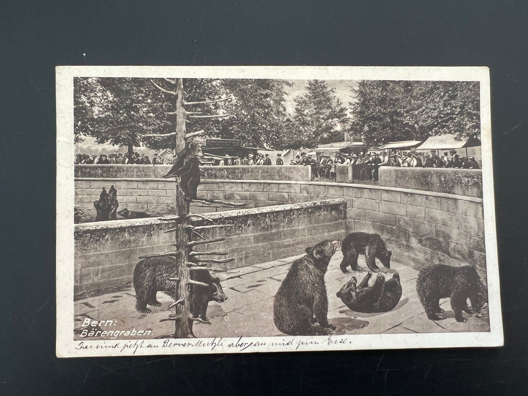 Cartes postales: Ansichtskarte Bärengraben1914    (V159) – D'occasion à Hinwil par Sidi4