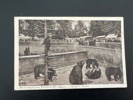 Ansichtskarte Bärengraben1914    (V159)