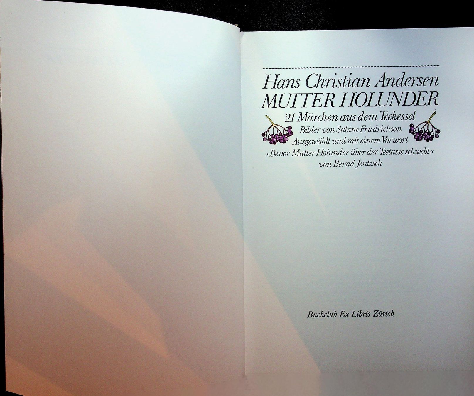 Bücher: H.Ch. Andersen Mutter Holunder 21 Märchen aus dem Teekessel – Gebraucht aus Reitnau von Zaomir 1