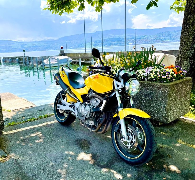 HONDA CB600F HORNET 25kw A35kw L Kaufen Auf Ricardo