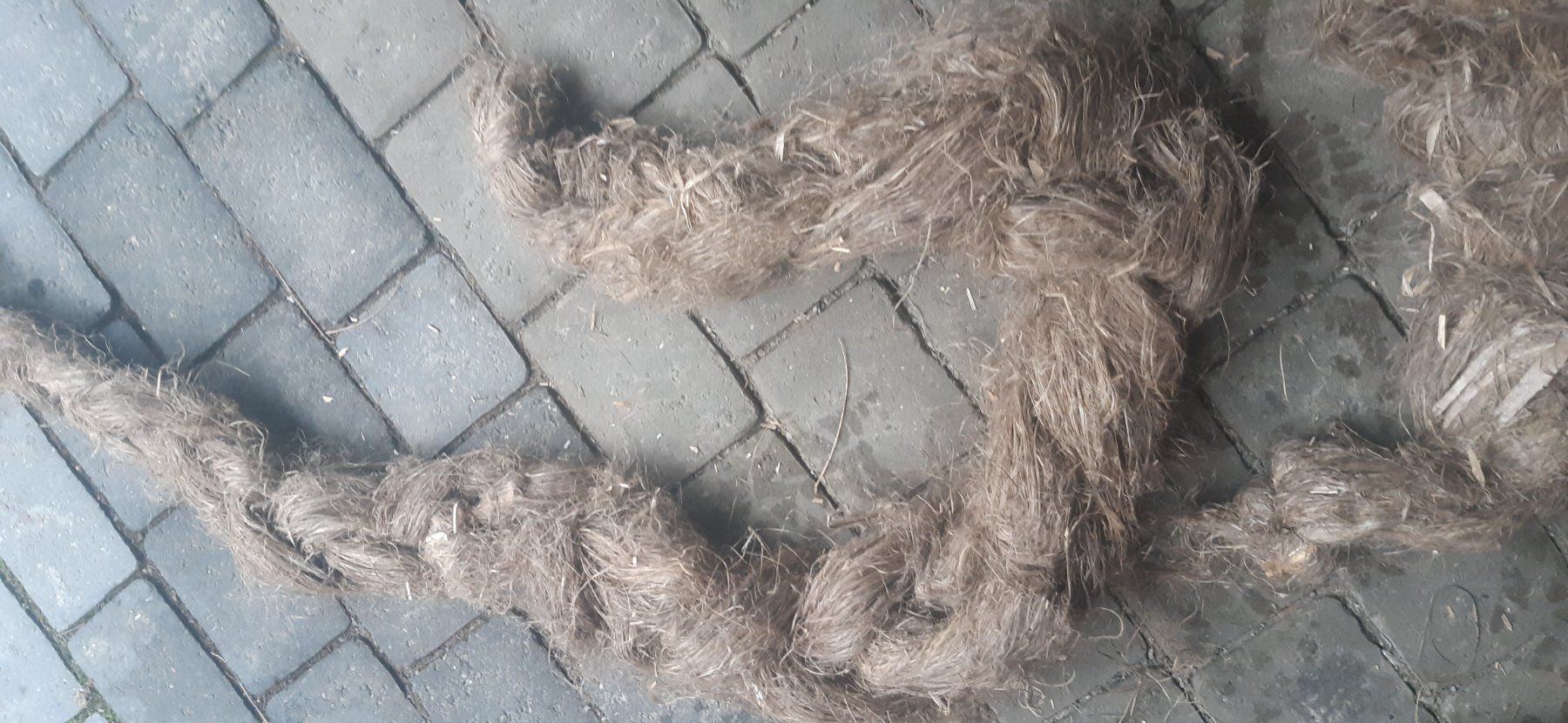 Tutte le decorazioni: crin de cheval – Usato da dompierre venduto da kiko66