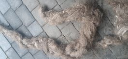 crin de cheval