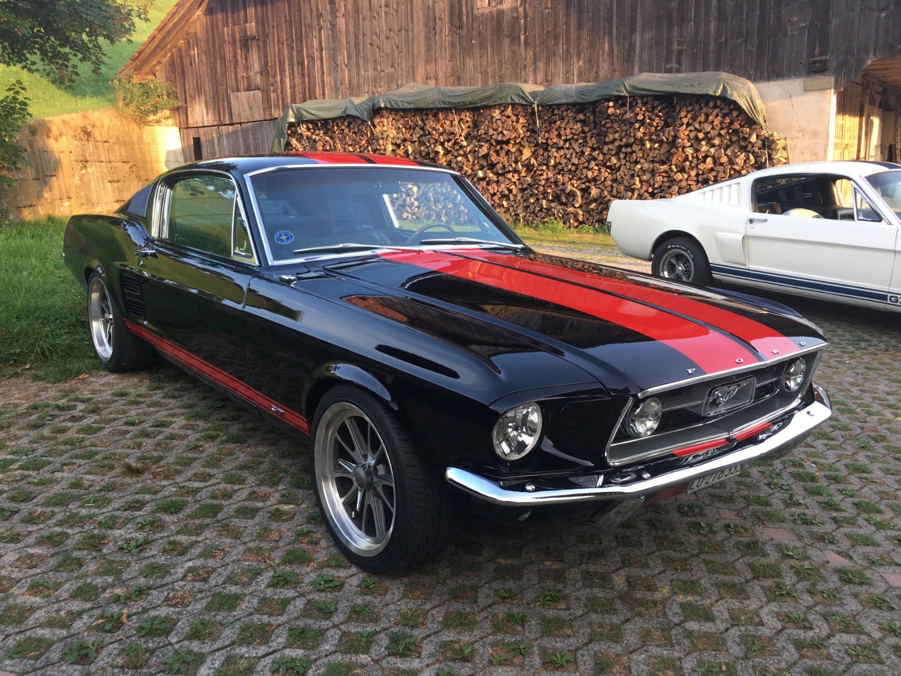 Ford (Usa) Autos: Ford Mustang Fastback GT390 Handgeschaltet – Gebraucht aus Sempach von Hhelfenstein 6