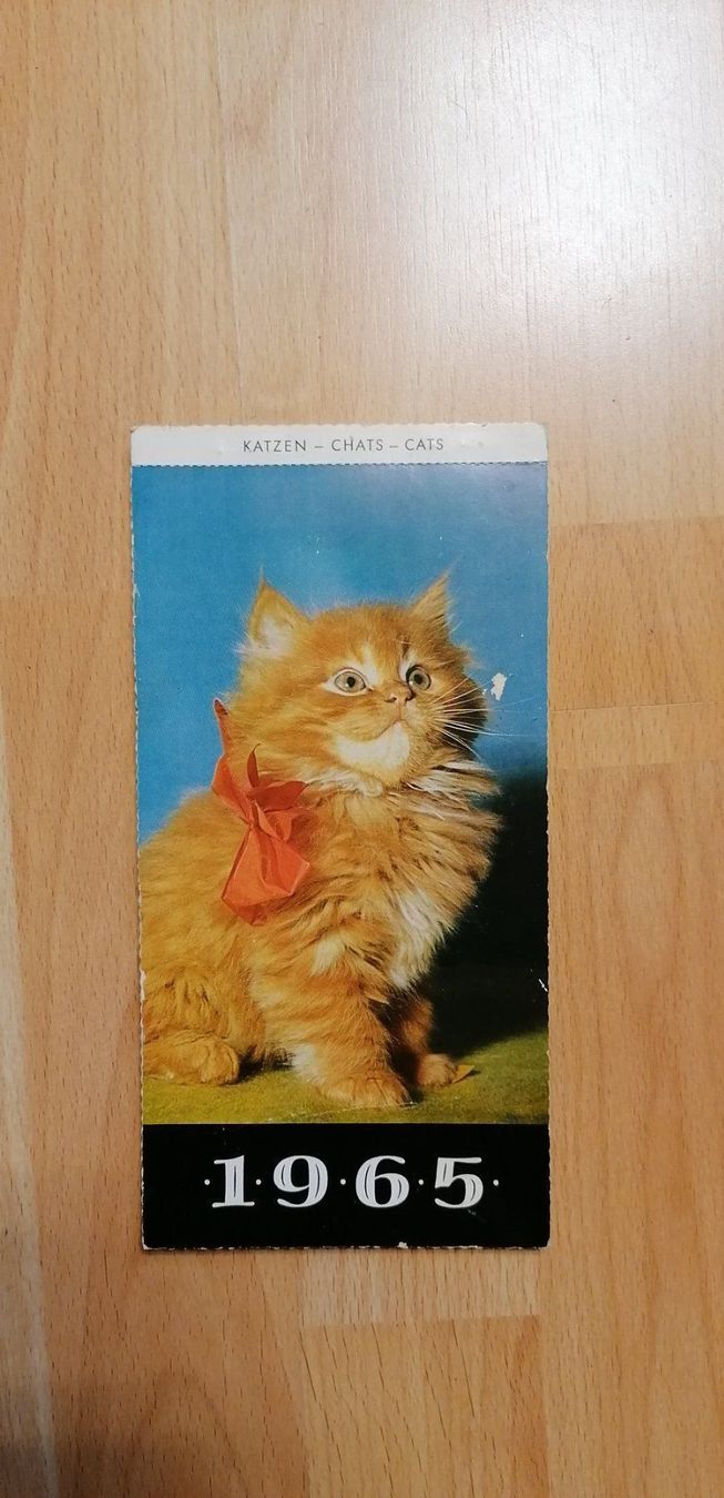 Calendari: Katzenkalender Jhg. 1965 – Usato da Geroldswil venduto da Dirici