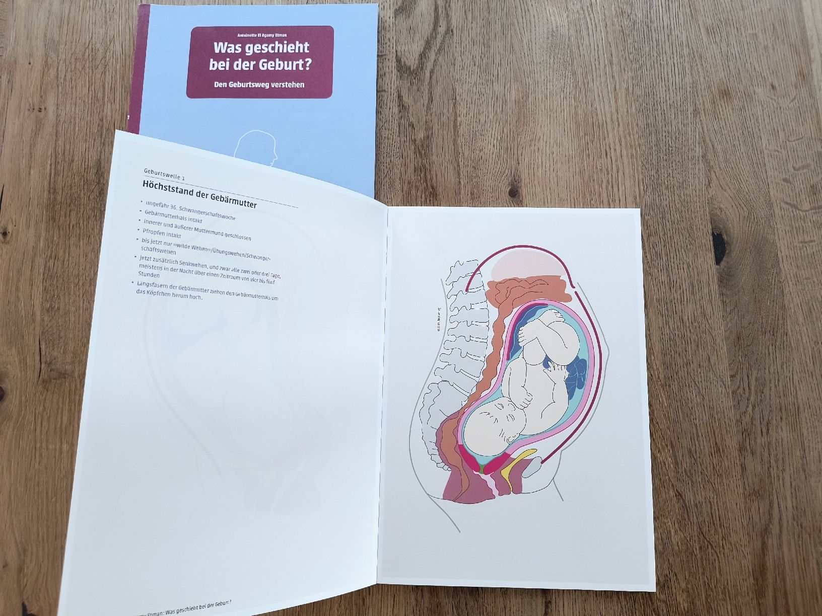 Libri: Buch Was geschieht bei der Geburt  – Usato da Bern venduto da kathiang 2