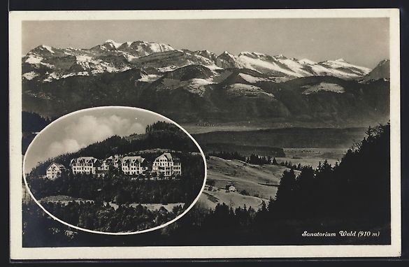 Cartoline postali: AK Wald /ZH, Sanatorium, Bergpanorama – Usato da Berlin venduto da bartko-reher