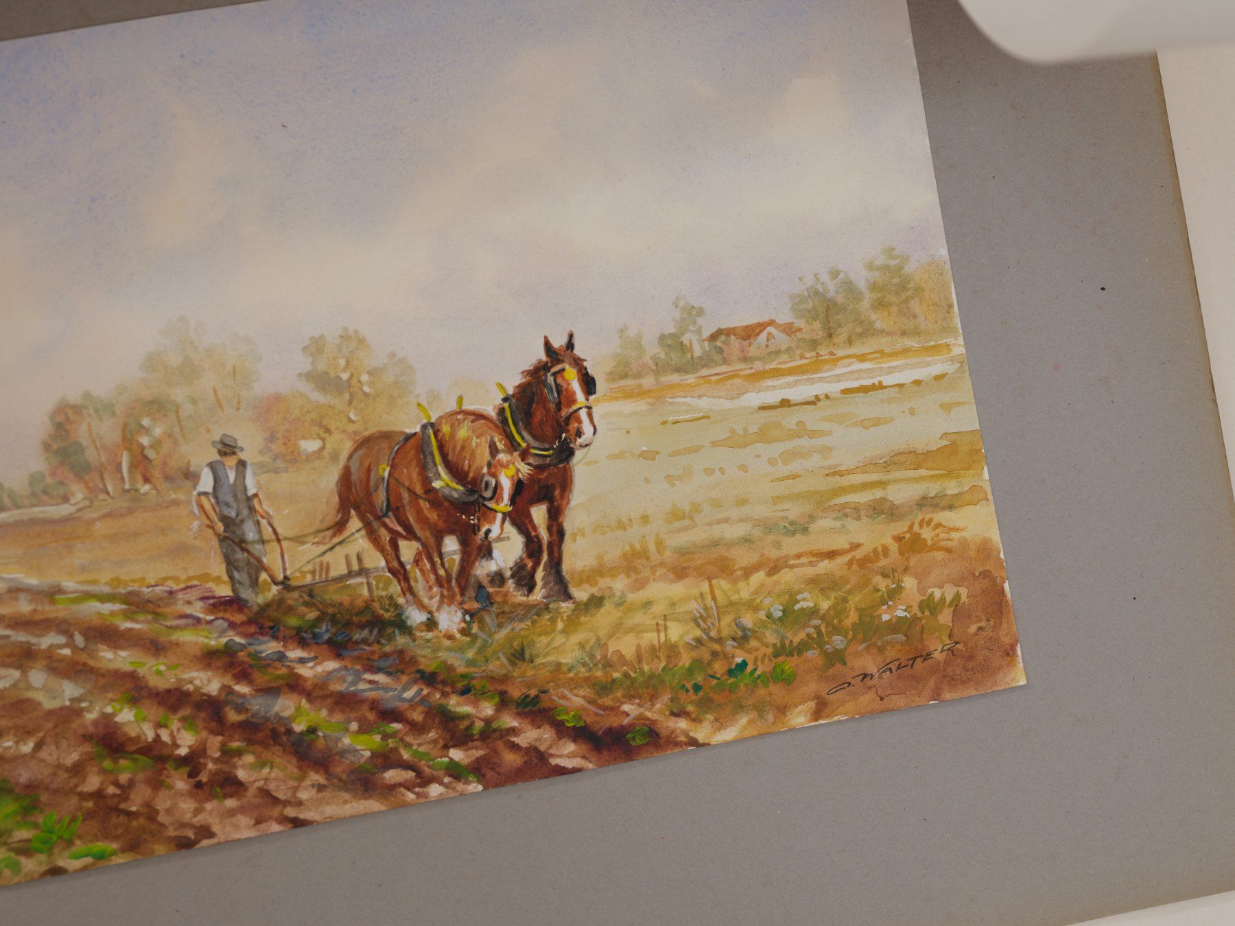 Gemälde: O. Walter - 4 Aquarelle (enbloc) – Gebraucht aus Zürich von 000rk 3
