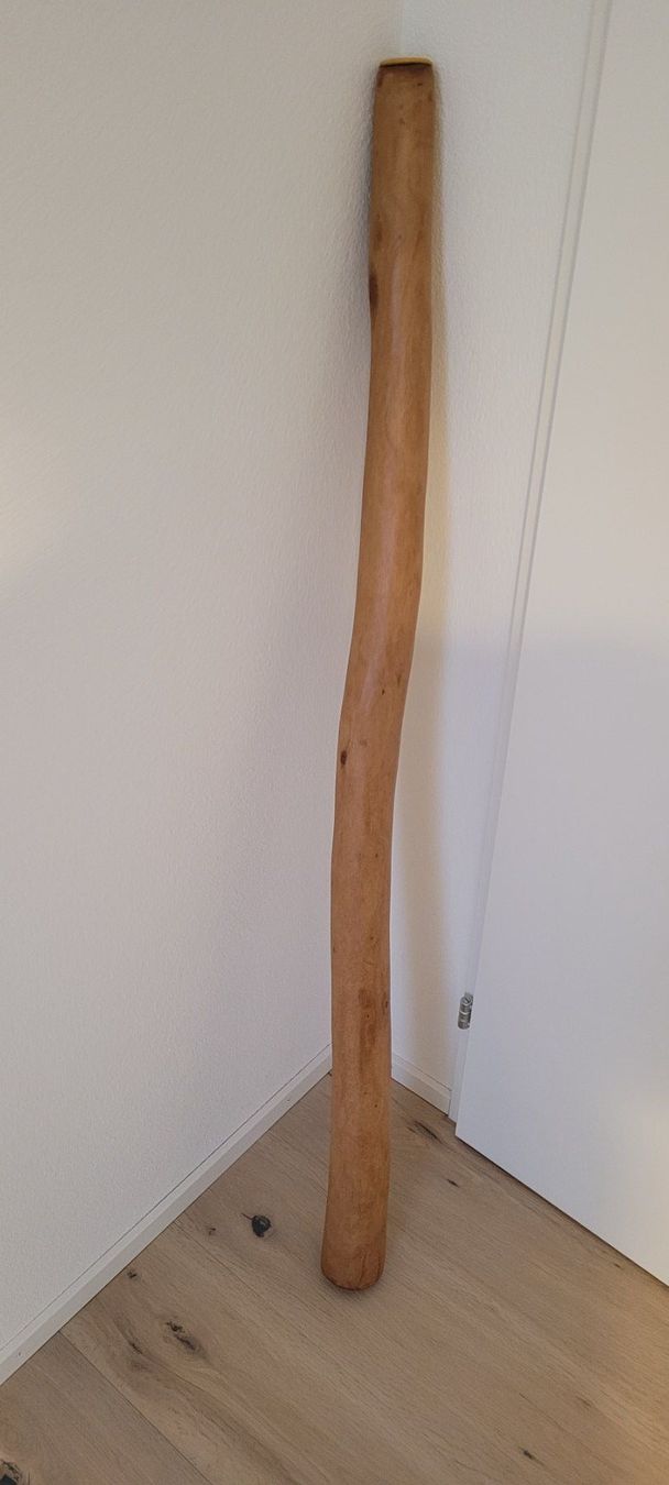 Strumenti musicali: Didgeridoo Eukalyptus Naturfarbe – Usato da Birmensdorf ZH venduto da shishu 1