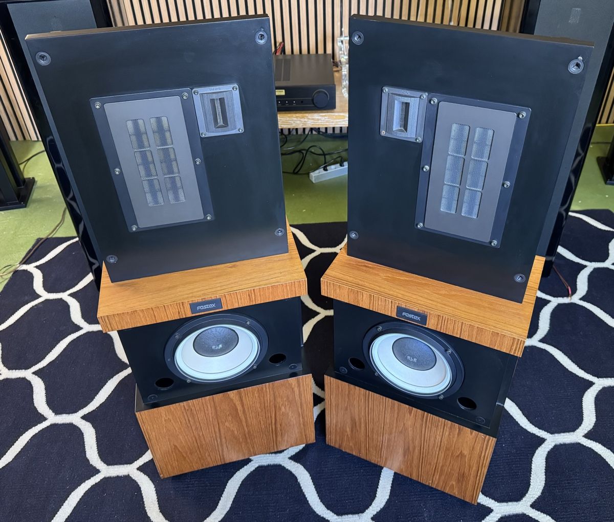 Fostex Lautsprecher: Fostex GZ1001 – Gebraucht aus Ebertswil von audivero 1
